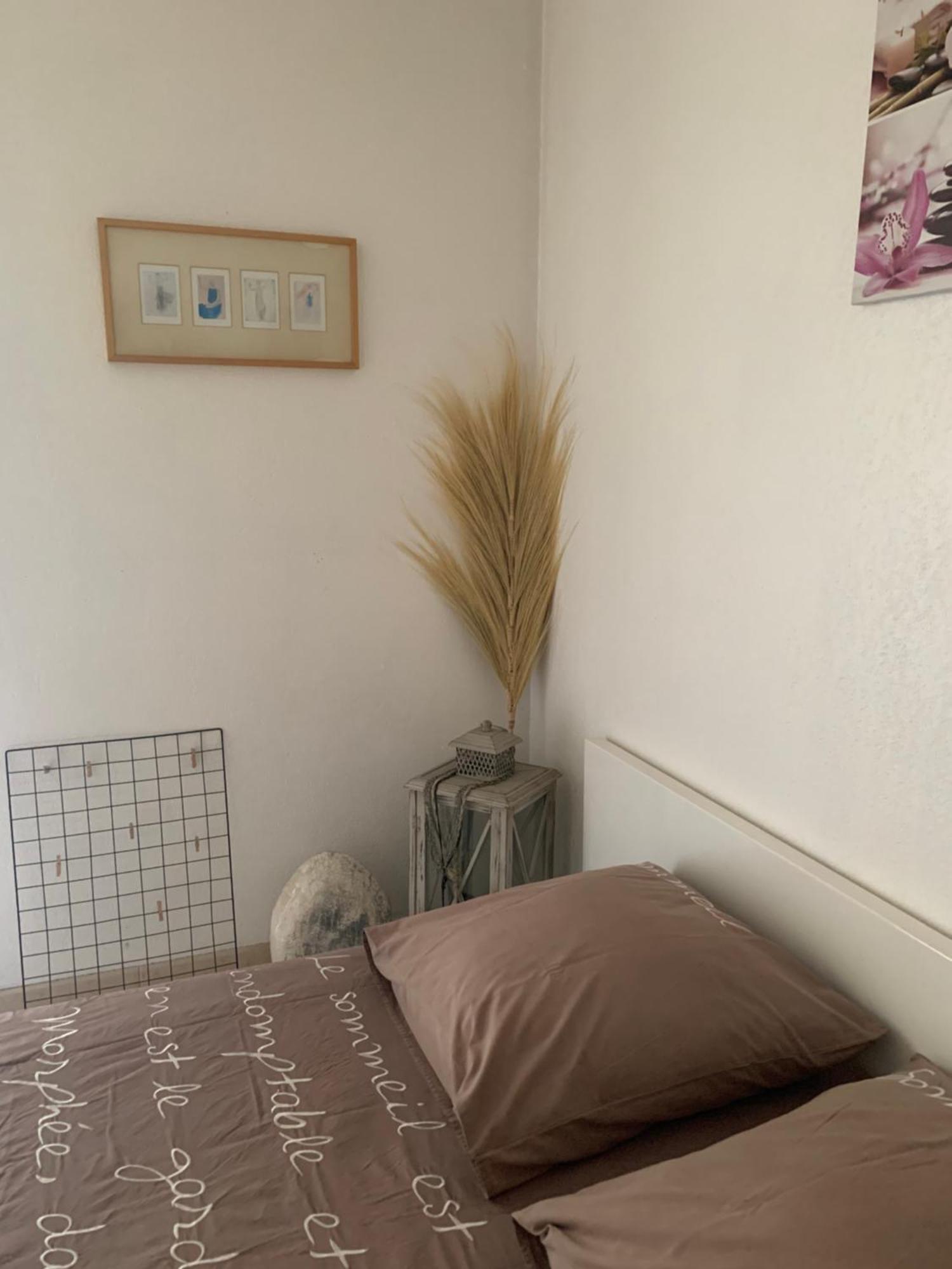 Votre Sejour Cosy A Frejus! Leilighet Eksteriør bilde